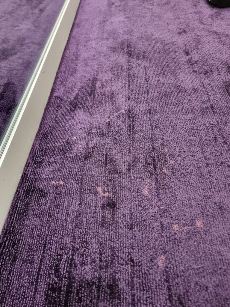 Carpet Stain Removal