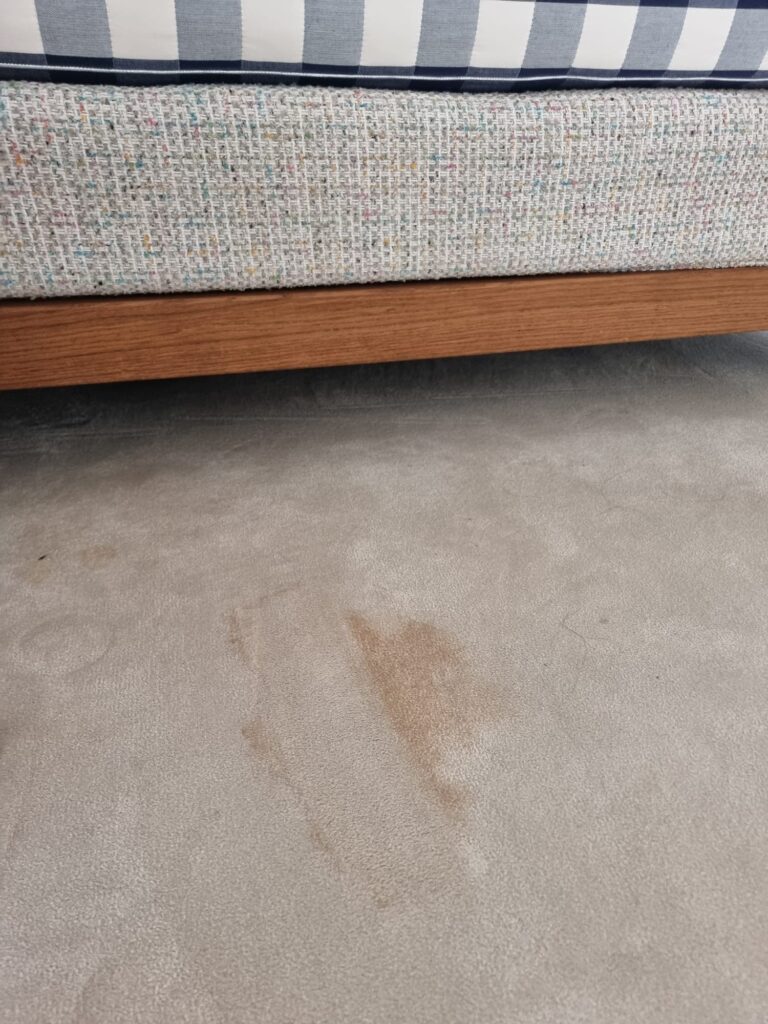 319730fa-3fb8-4247-a9f7-6bc03b805bc4