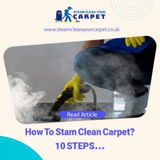 Cover how to steam clean carpet