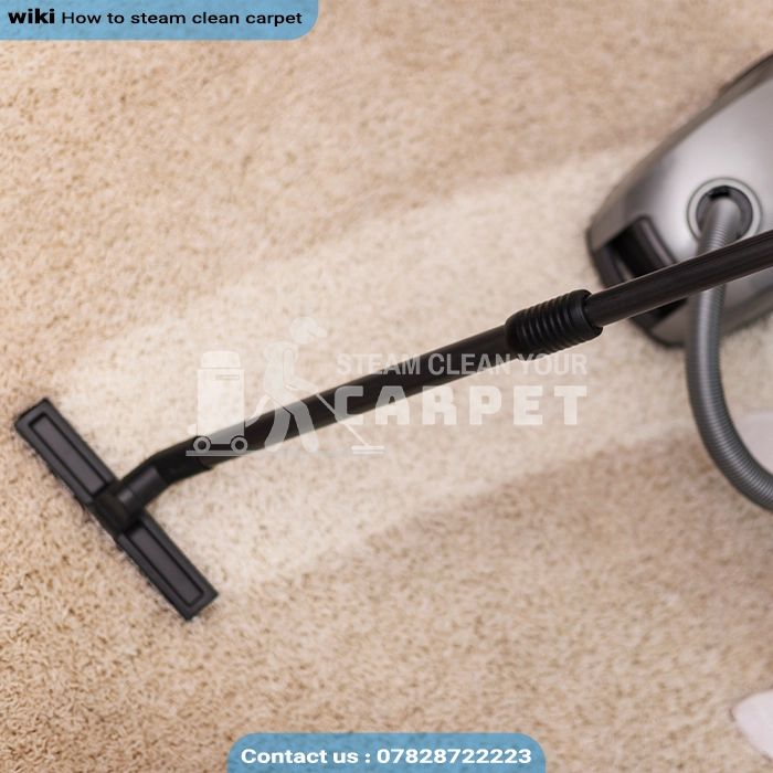 Dust and Vacuum steam clean your carpet london