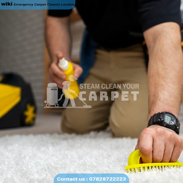 Emercgency carpet cleaning service in london