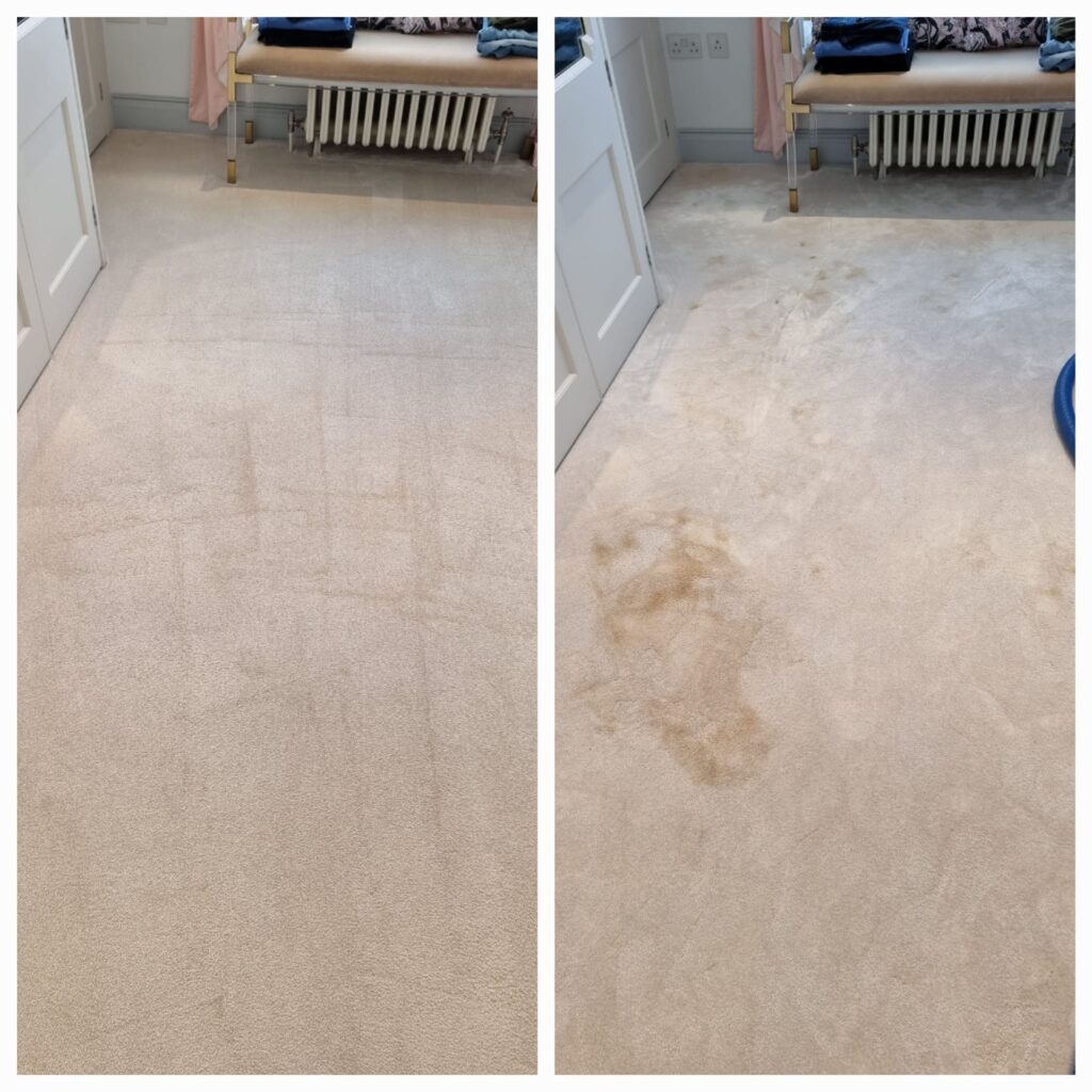 WhatsApp Image 2023-11-01 at 22.17.35_cc2d589b