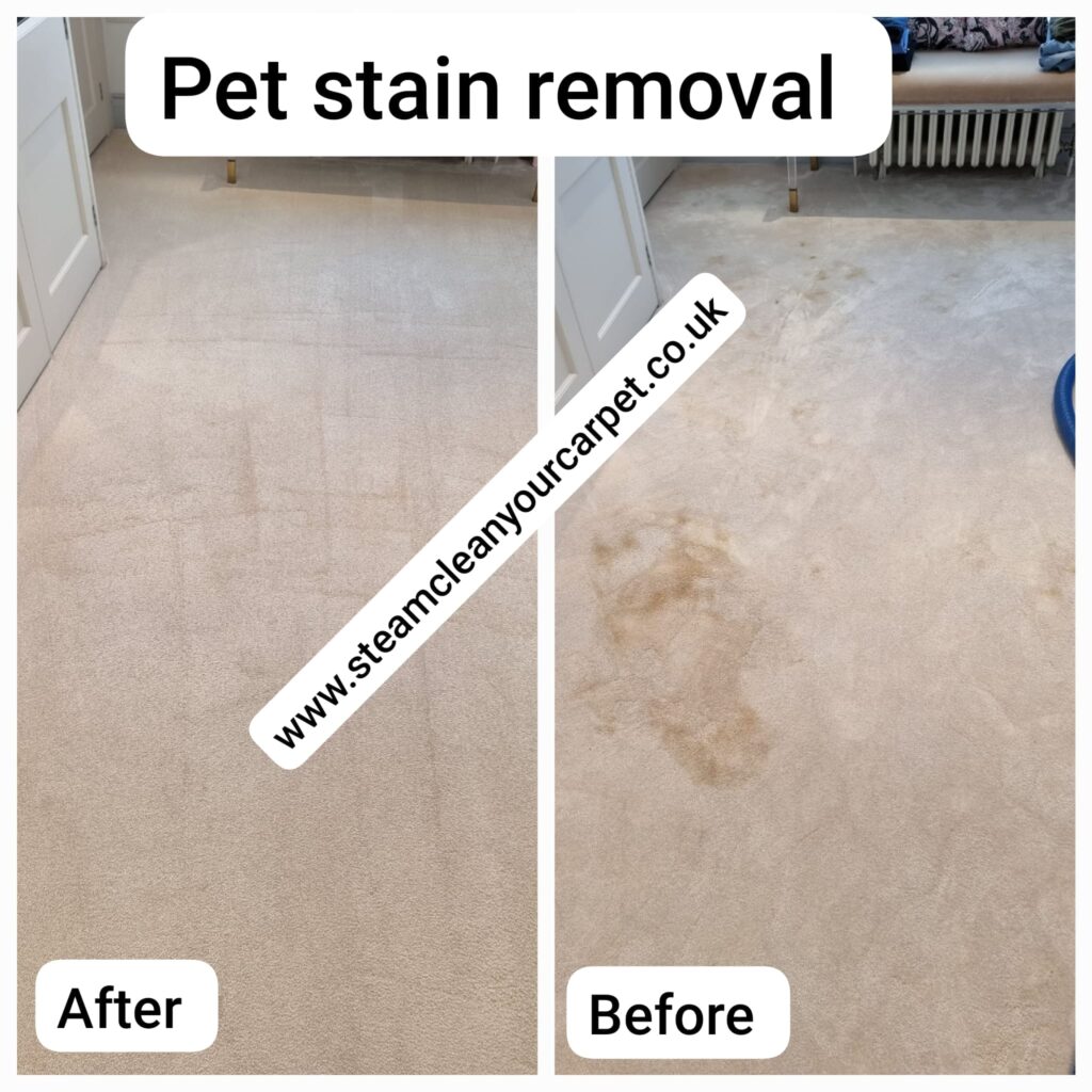 WhatsApp Image 2023-11-01 at 22.17.48_731973c5