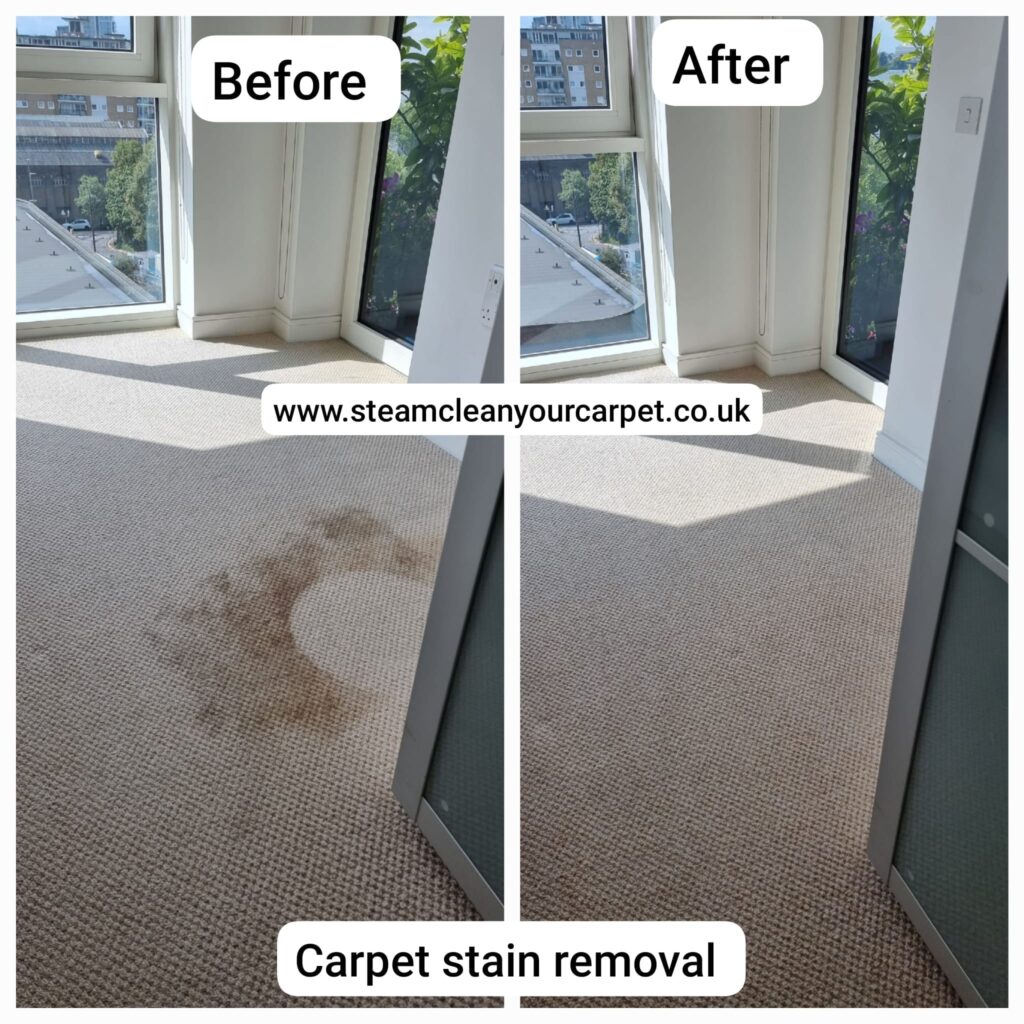 WhatsApp Image 2023-11-01 at 22.18.44_bb364c46