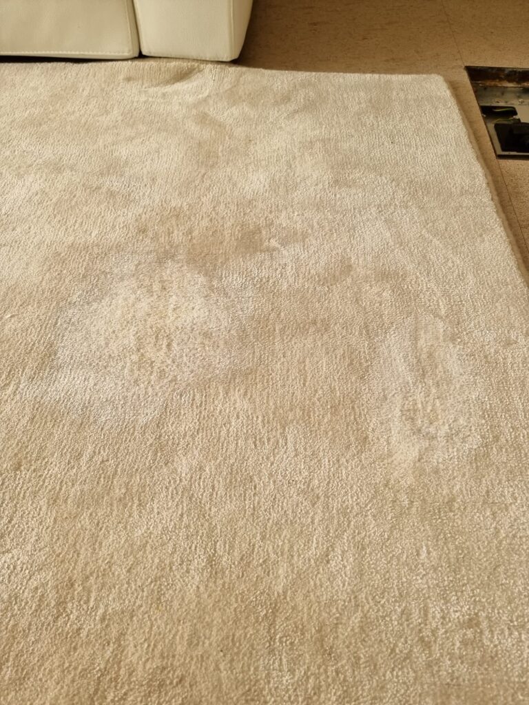 Pet stain removal