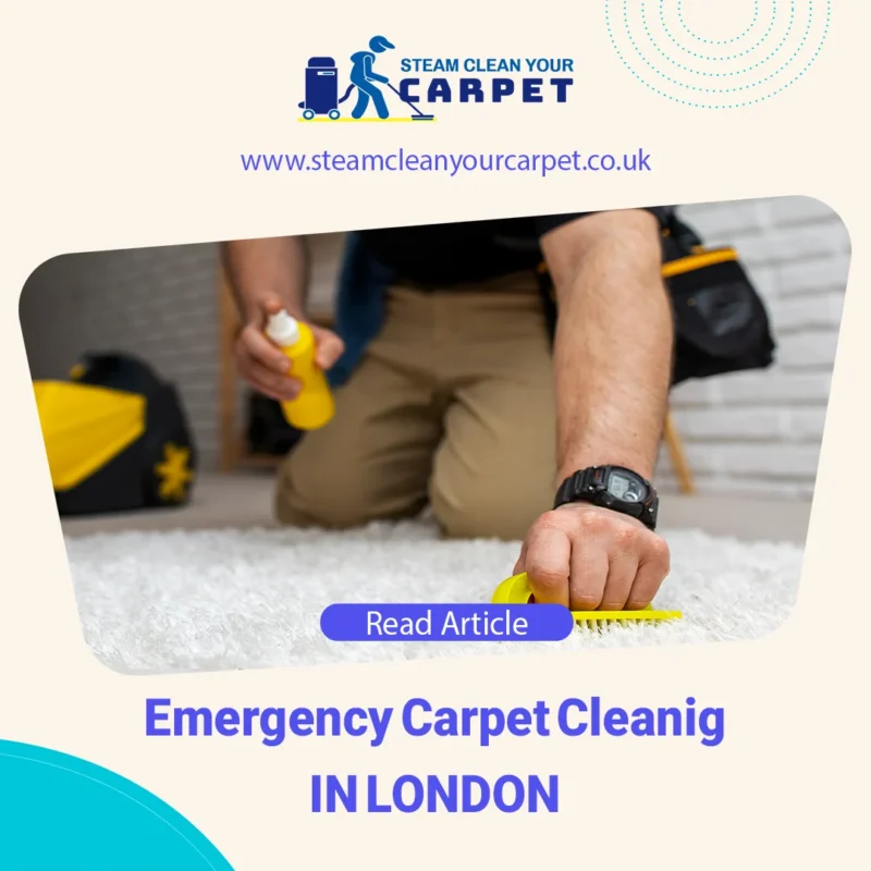 emergency carpet cleaning service in london with best price as soon as posible, steam clean your carpet, steamcleanyourcarpet, carpet cleaning, carpet cleaning london, carpet cleaning best price