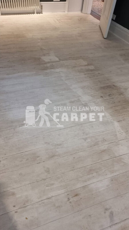 hardfloor-cleaning-hover