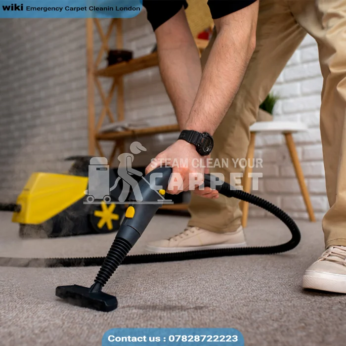 hot water extraction carpet cleaning service london best price