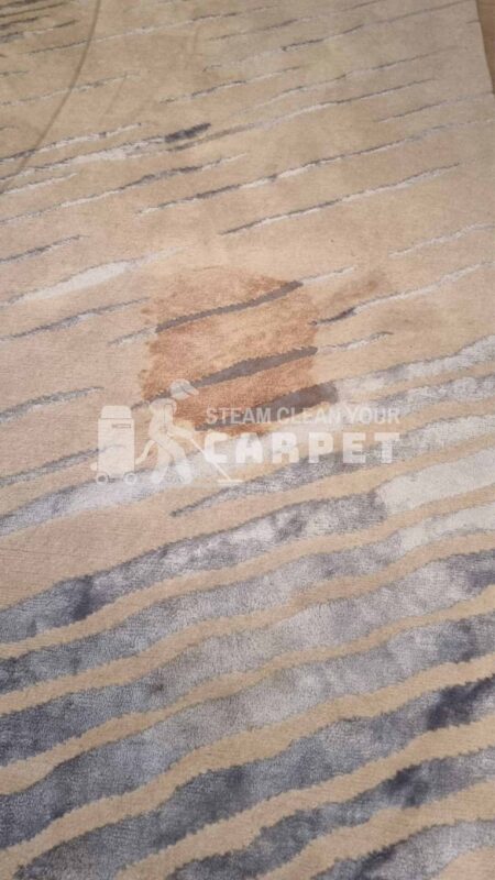 pet-stain-removval-hover